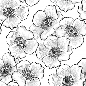 Floral seamless pattern. Flower background. Flourish sketch black and white texture with flowers daisy.