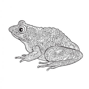 Frog isolated. Black and white ornamental doodle frog illustration with zentangle decorative ornament
