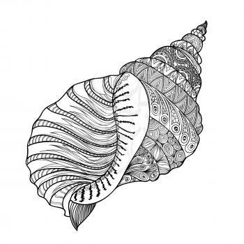Seashell isolated on white background. HAnd drawn doodle vector illustration.