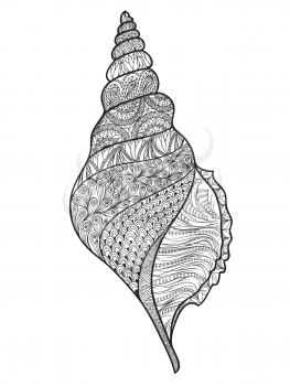 Seashell isolated on white background. Hand drawn doodle Sea shell vector illustration.