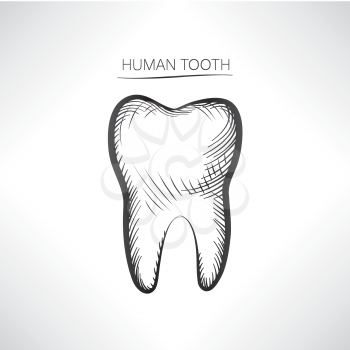 Tooth isolated. Tooth hand drawn sketch icon. Tooth symbol.