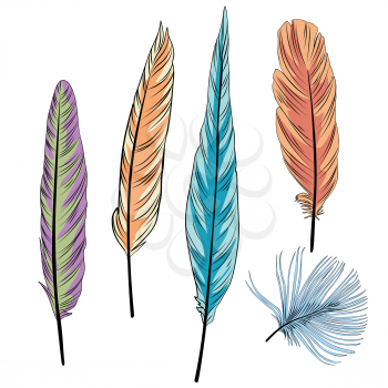 Feather set