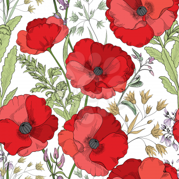 Floral seamless pattern. Flower poppy background. Flourish tiled ornamental texture with flowers. Spring floral garden
