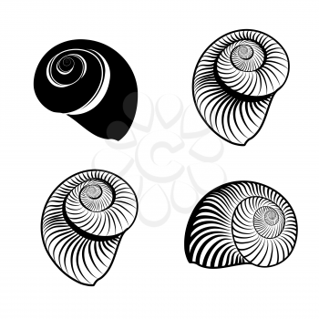 Seashell collection. Sea shell set ingraved vector illustration solated on white background.