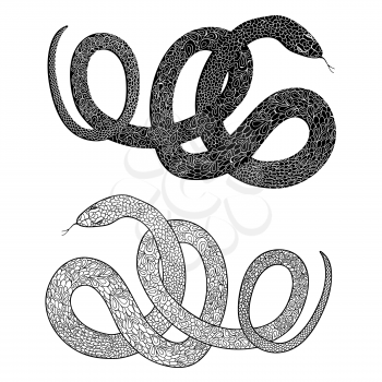 Snake set. Engraved hand drawn vector illustraction of ornamental decorated in zentagle style snakes. 