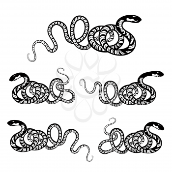 Snake set. Engraved wildlife reptile silhouette. Patterned animal tail