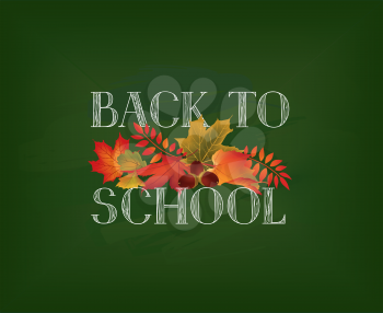 Back to school. Banner with  autumn leaves over green chalkboard background. Vector.
