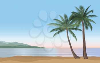 Palm tree on the ocean beach. Nature floral landscape Tropical beach resort skyline. Summer holidays background. Seaside Sunrise View Poster. Vector  resort wallpaper