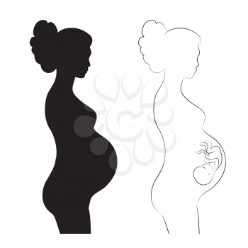 Pregnant woman with fetus. Beautiful pregnant woman with embryo. Vector sketch and silhouette set