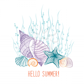 Summer background. Summer holidays cover with seashell sea star. Hello summer greeting card. Doodle vector illustration