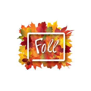 Fall leaves sign. Autumn leaf frame. Nature symbol with Fall lettering isolated over white background.