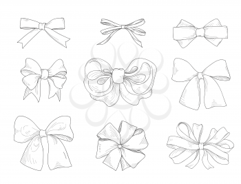 Bow drawn. Fashion accessory sign. Gentle bow ribbon isolated sketch set.