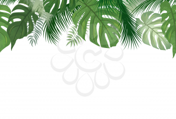 Floral seamless pattern. Tropical leaves background. Palm tree leaf nature border