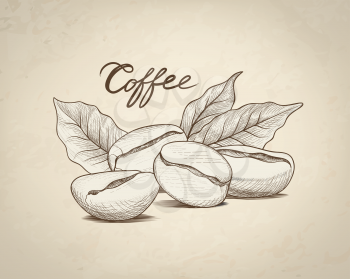 Coffee beans with leaves and handwritten lettering. Drink coffee banner hand drawn colored sketch. Line art label over retro background