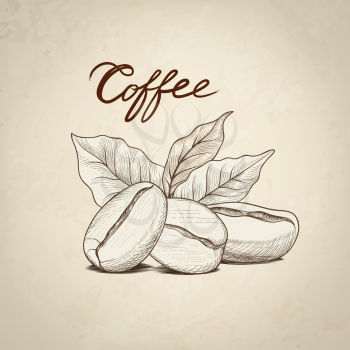 Coffee beans with leaves and handwritten lettering. Dring coffee banner hand drawn colored sketch. Line art label. Coffee card retro background