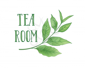 Green tea label with lettering TEA ROOM. Tea leaves card background for hot beverage menu design
