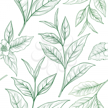 Tea branch sketch seamless pattern. Tea leaves background for hot beverage menu design. Floral wallpaper