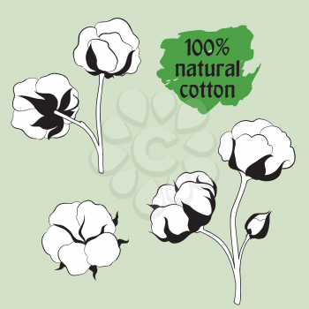 Cotton label.  Natural material sign. Flower cotton set. Hand drawn floral icon