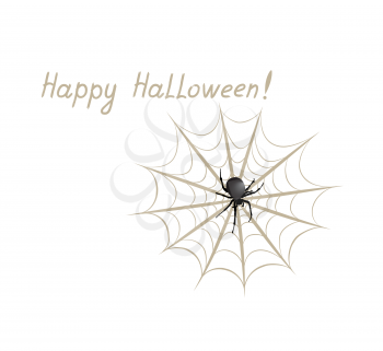 Happy halloween greeting card with spider and web. Holiday background