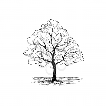 Tree with leaves isolated. Nature sign Vector sketch