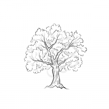 Tree with leaves isolated. Nature sign vector sketch