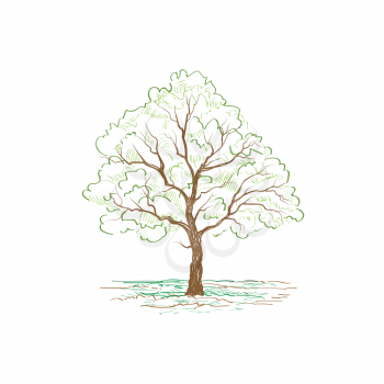 Tree sign. Summer nature landscape sketch. Hand drawn vector
