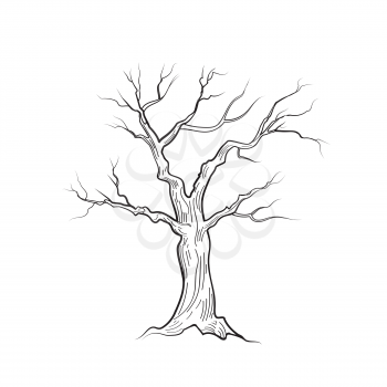 Tree without leaves isolated. Nature sign Vector sketch