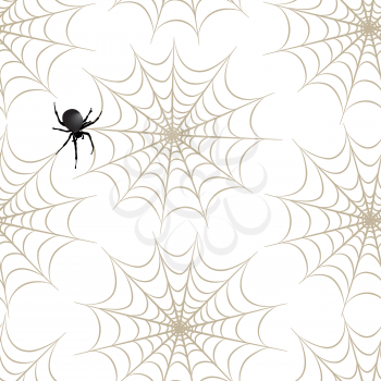 Halloween seamless pattern. Holiday background with spider, web