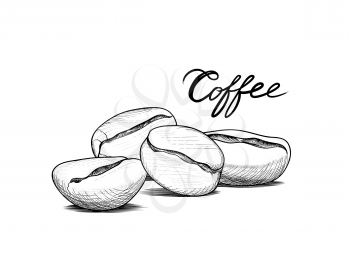 Coffee beans with handwritten lettering. Drink coffee banner hand drawn sketch. Line art label over retro background
