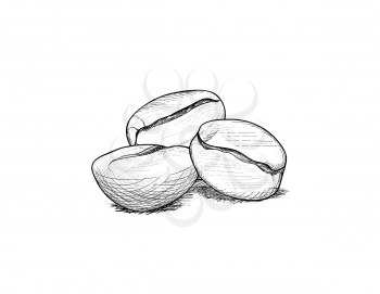 Coffee beans. Coffee icon set sketch. Line art doodle illustration