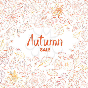 Fall leaf nature background. Autumn leaves pattern with lettering Autumn sale. Season floral icon wallpaper