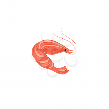 Shrimp illustration. Stylish sea food design element. Line art