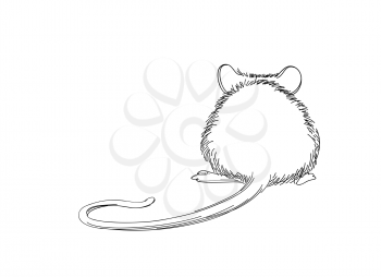 Mouse sketch hand-drawn illustration. Line art animal isolated on white background