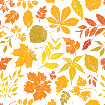 Autumn leaves stylish background. Fall seamless pattern with hand drawn leaves. Seasonal nature backdrop.