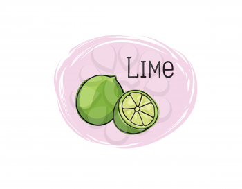 Lime icon. Half and full lime slice green illustration lemon isolated half fruit lime. Fresh green cut citrus icon.