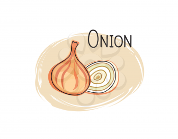 Onion icon. Half and full slice onion isolated on white background with lettering onion Vegetable stylish drawn symbol onion 