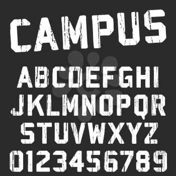Alphabet font template. Vintage letters and numbers campus college t-shirt design. Vector illustration
