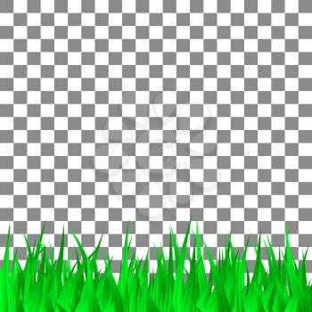 Green grass on transparent background template. Vector Illustration.