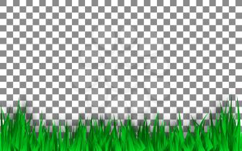 Green grass template on transparent background. Vector Illustration.