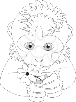 Monkey holding a flower. Coloring. Print for cards, children's books, clothes