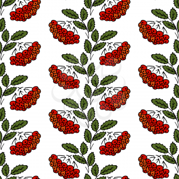 Seamless background. Rowan. Sprigs, berries, leaves. White background