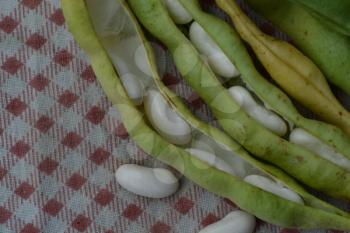 Beans. Phaseolus. Bean Seeds. Legumes. Kitchen. Recipes. Tablecloth. It is useful. Close-up. Horizontal