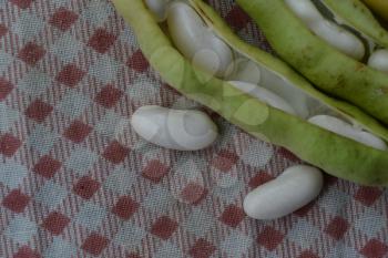 Beans. Phaseolus. Bean Seeds. Legumes. Kitchen. Recipes. Tablecloth. Before cooking. Delicious. Horizontal photo