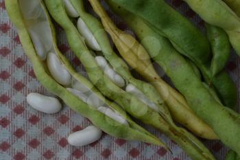 Beans. Phaseolus. Bean Seeds. Kitchen. Recipes. Tablecloth. Before cooking. Delicious. It is useful. Close-up. Horizontal