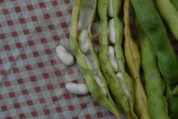 Beans. Phaseolus. Bean Seeds. Legumes. Kitchen. Recipes. Before cooking. Delicious. It is useful. Close-up. Horizontal photo