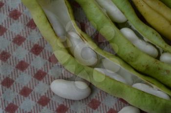 Beans. Phaseolus. Bean Seeds. Legumes. Kitchen. Recipes. Tablecloth. Before cooking. Close-up. Horizontal photo