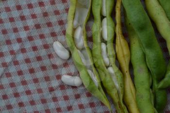 Beans. Phaseolus. Bean Seeds. Legumes. Kitchen. Recipes. Tablecloth. Before cooking. It is useful. Close-up. Horizontal photo