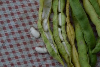 Beans. Phaseolus. Bean Seeds. Legumes. Kitchen. Recipes. Tablecloth. Before cooking. It is useful. Close-up. Horizontal