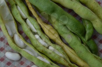 Beans. Phaseolus. Bean Seeds. Legumes. Recipes. Tablecloth. Before cooking. Delicious. It is useful. Close-up. Horizontal photo