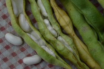 Beans. Phaseolus. Bean Seeds. Legumes. Tablecloth. Before cooking. Delicious. It is useful. Close-up. Horizontal